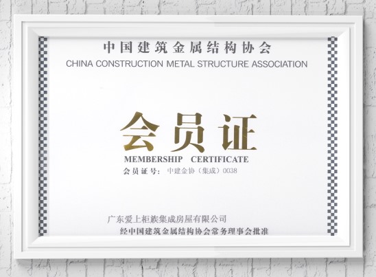 Member of China Construction Metal Association